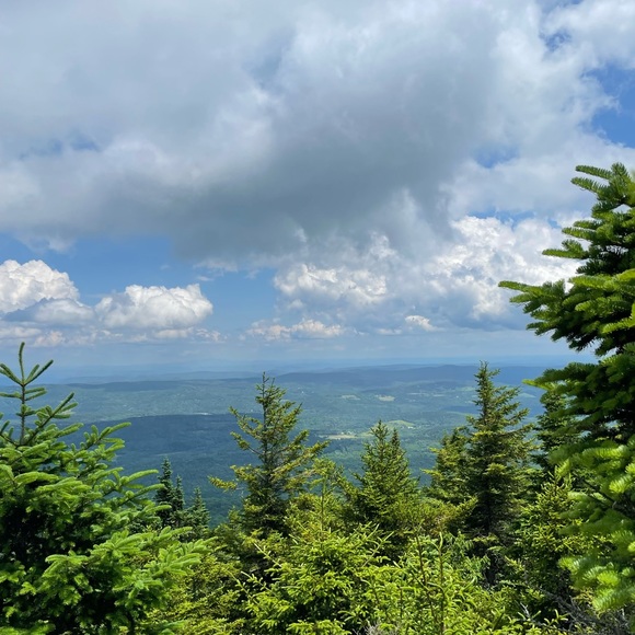 Meet your Posher, Grace - Picture 7 of 16